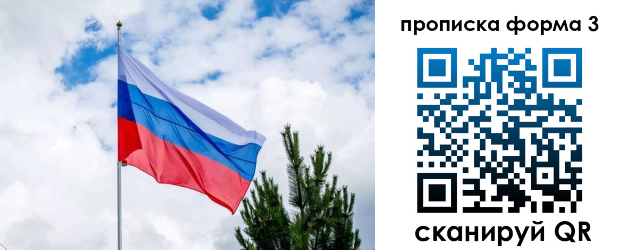 прописка для школы в Суворове